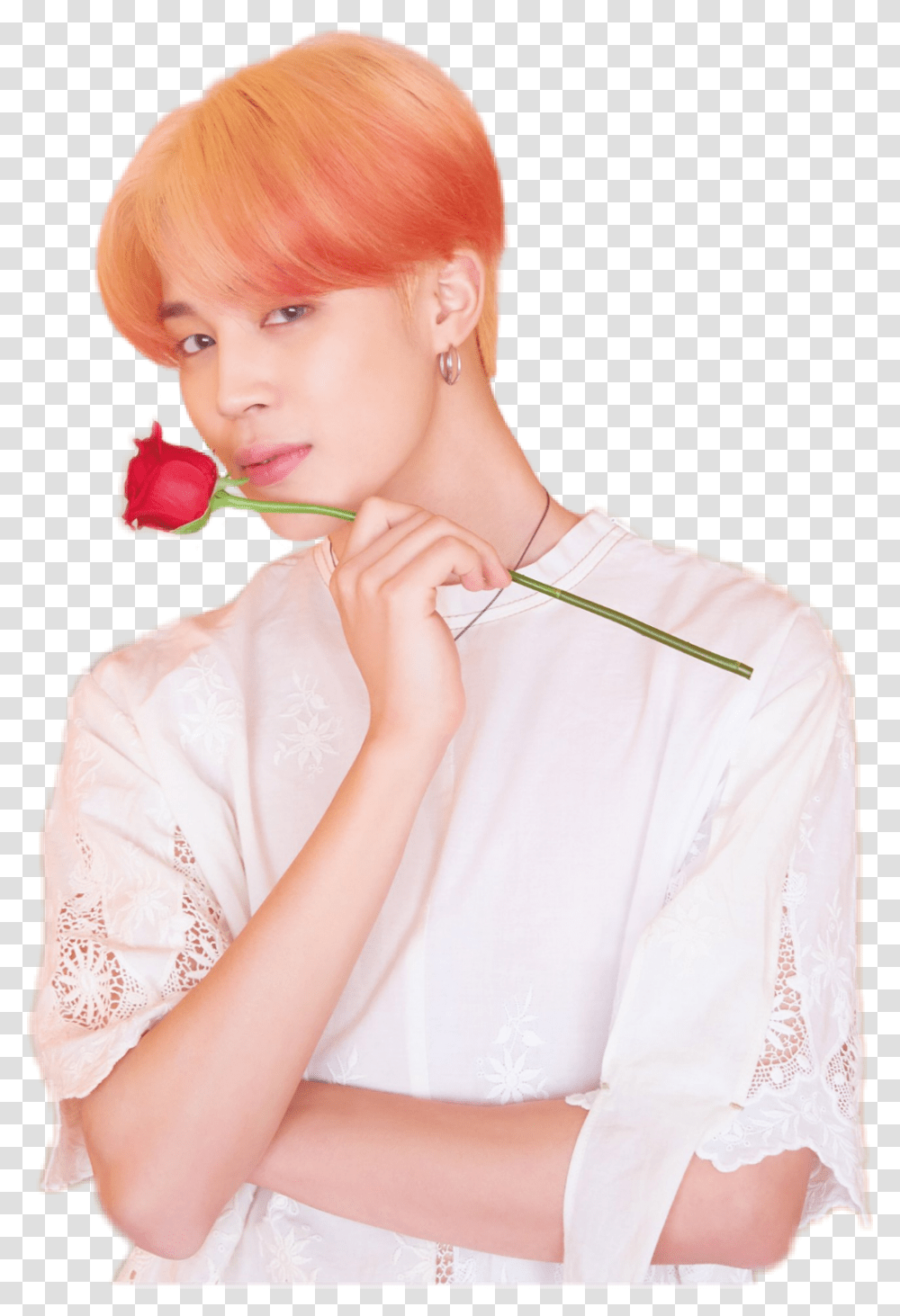 Rose jimin and
