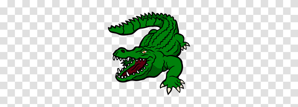 Buaya Hijau Baya Crocodile, Animal, Reptile, Alligator, Poster Transparent Png