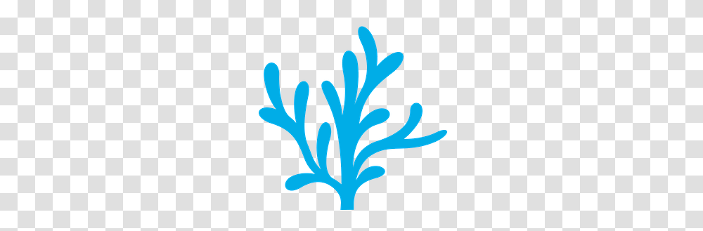 Bubble Guppies, Plant, Outdoors, Flower, Anther Transparent Png