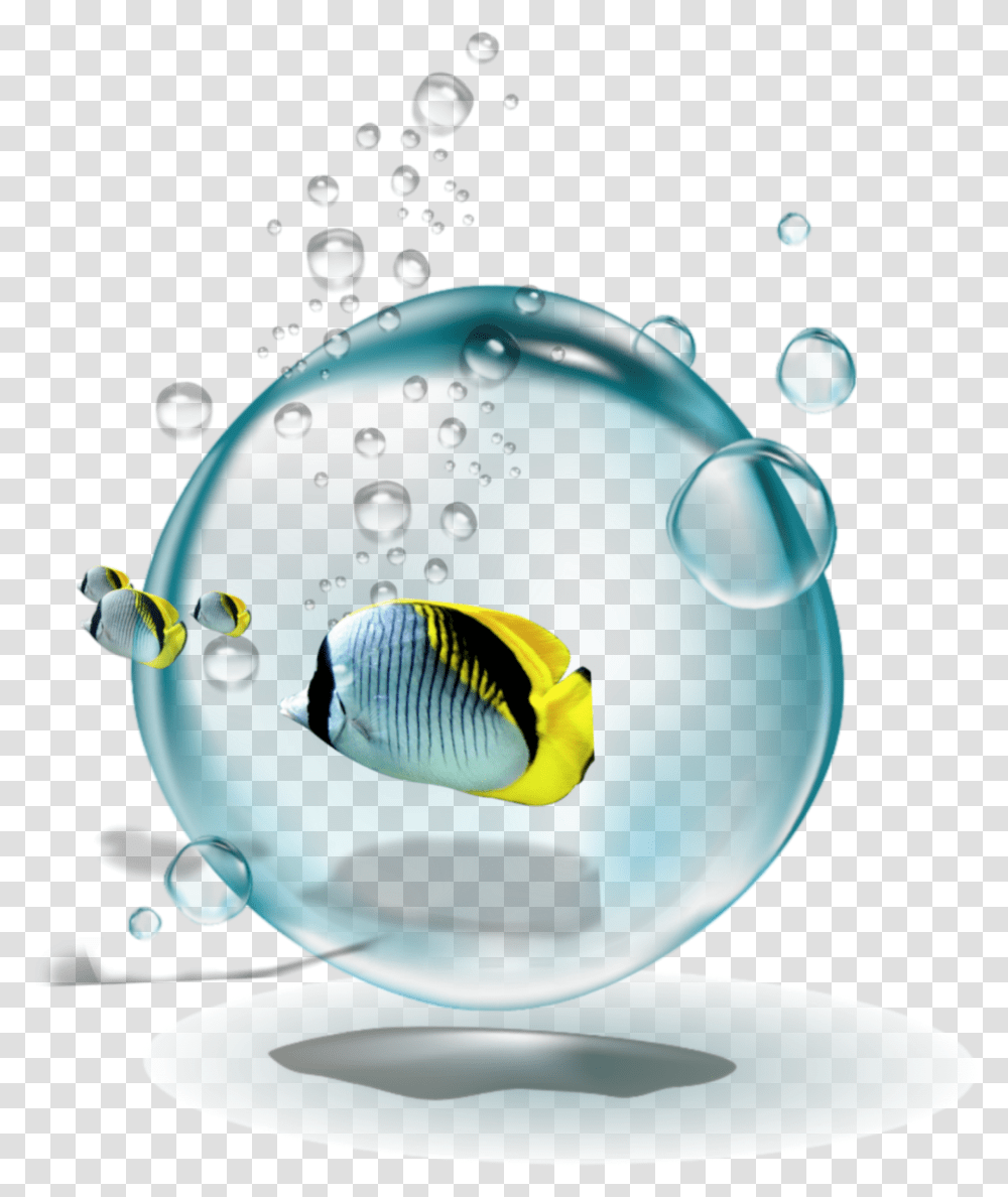 Bubbles Fish, Water, Animal, Sea Life, Aquarium Transparent Png