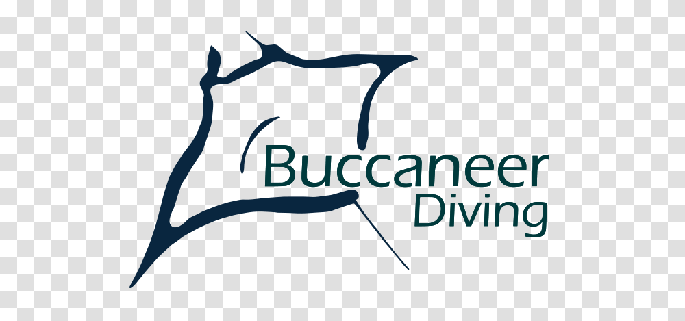 Buccaneer Diving Padi Cdc Scuba In Zanzibar The Premium, Alphabet, Logo Transparent Png