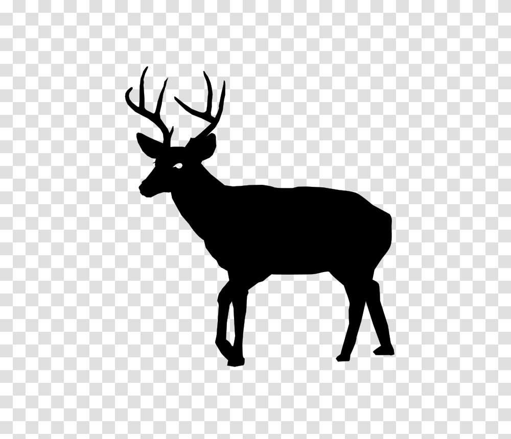 Buck, Animals, Gray, World Of Warcraft Transparent Png