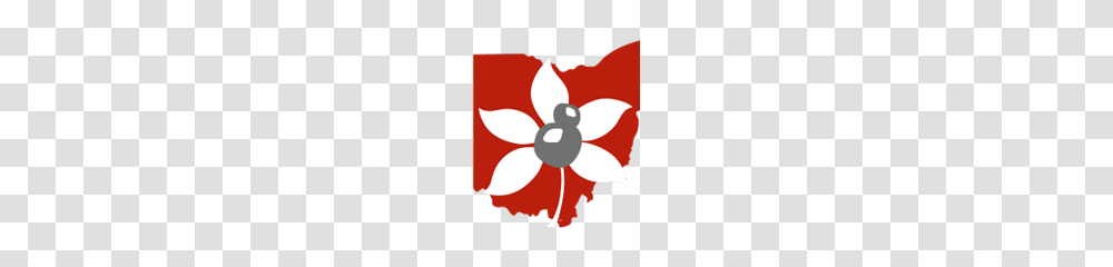 Buck Buckeyes Ohio State, Poster, Advertisement, Flag Transparent Png