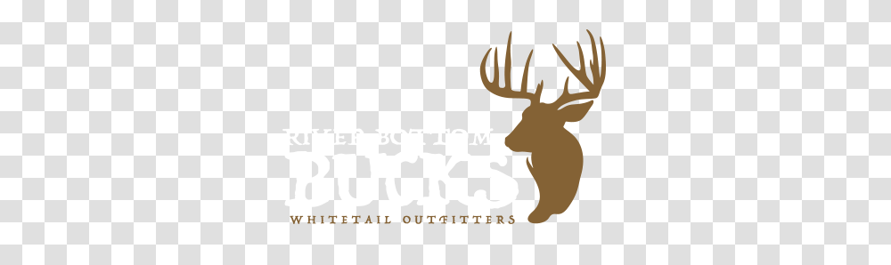 Buck Clipart Bow Hunting, Poster, Antler, Elk, Deer Transparent Png