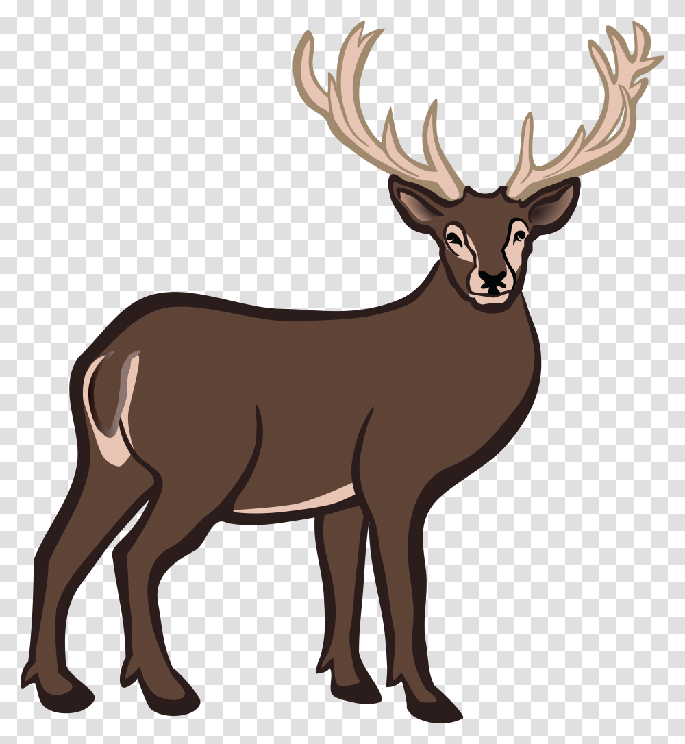 Buck Deer Buck Deer Images, Elk, Wildlife, Mammal, Animal Transparent Png