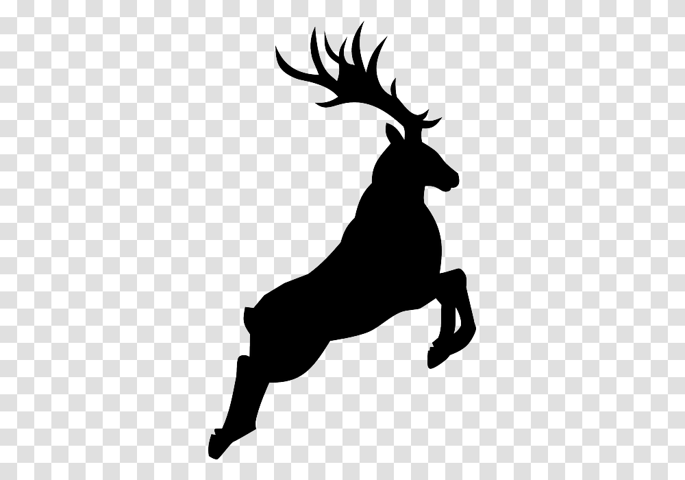 Buck Deer Silhouette, Stencil, Person, Human, Mammal Transparent Png