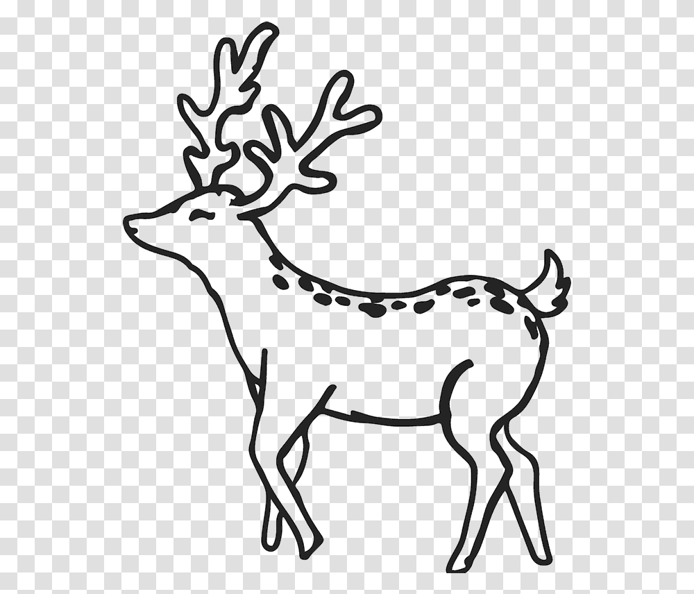 Buck Outline Buck Deer Rubber Stamp Outline Antler Deer Clipart Outline, Antelope, Wildlife, Mammal, Animal Transparent Png