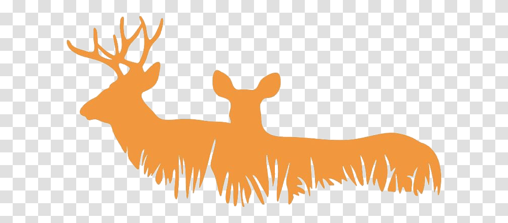 Buckdoe Deer Silhouette Freetoedit Deer Stickers For Cars, Wildlife, Mammal, Animal, Elk Transparent Png