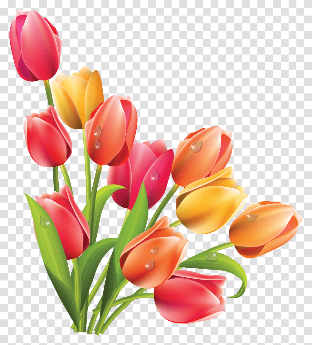 Bucket Flower Tulip Clipart Transparent Png