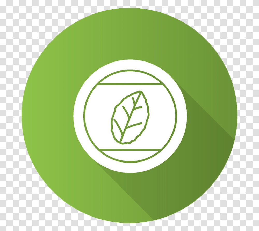 Bucket Icon, Tennis Ball, Label, Plant Transparent Png