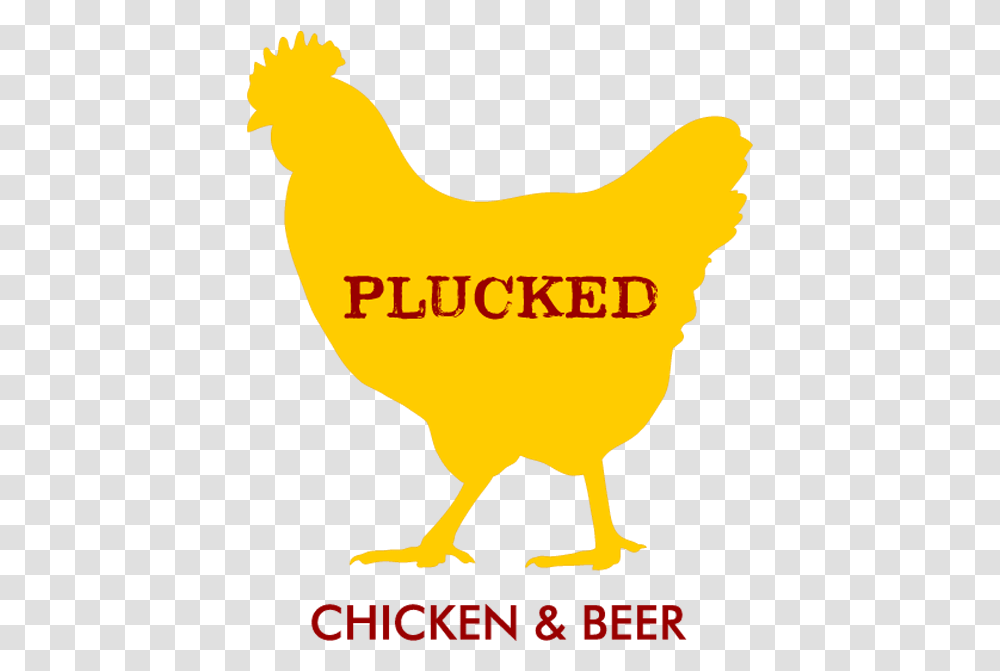 Bucket Of Chicken Plucked Chicken, Hen, Poultry, Fowl, Bird Transparent Png