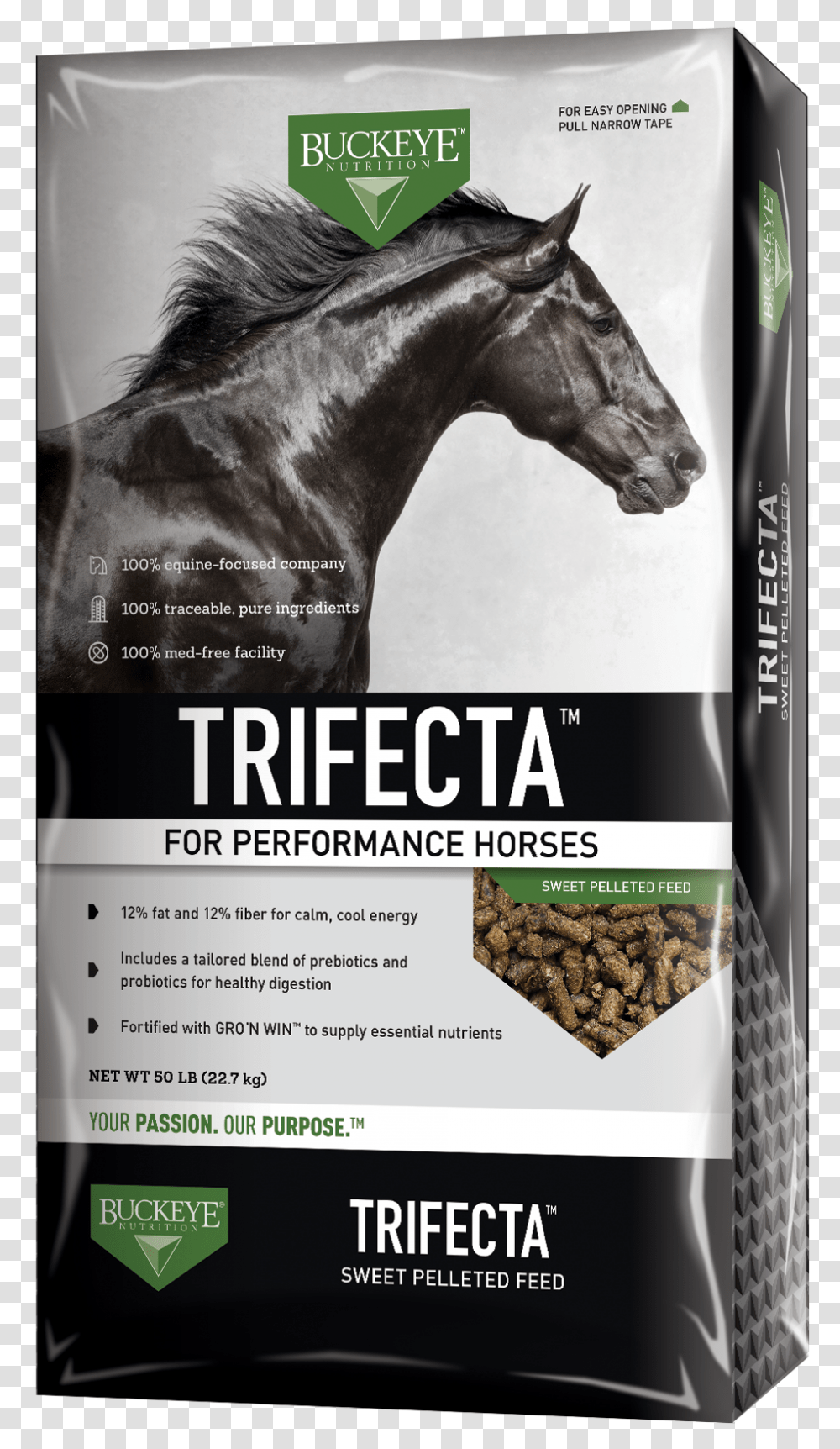 Buckeye Horse Feed, Poster, Advertisement, Flyer, Paper Transparent Png