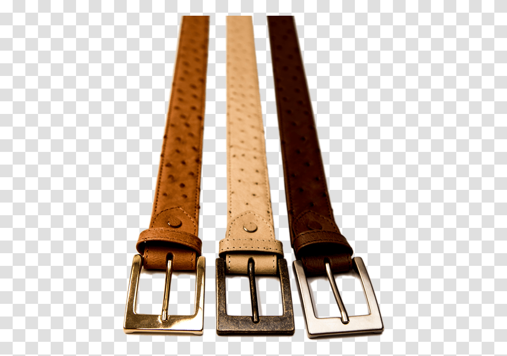 Buckle, Accessories, Accessory, Belt, Suspenders Transparent Png