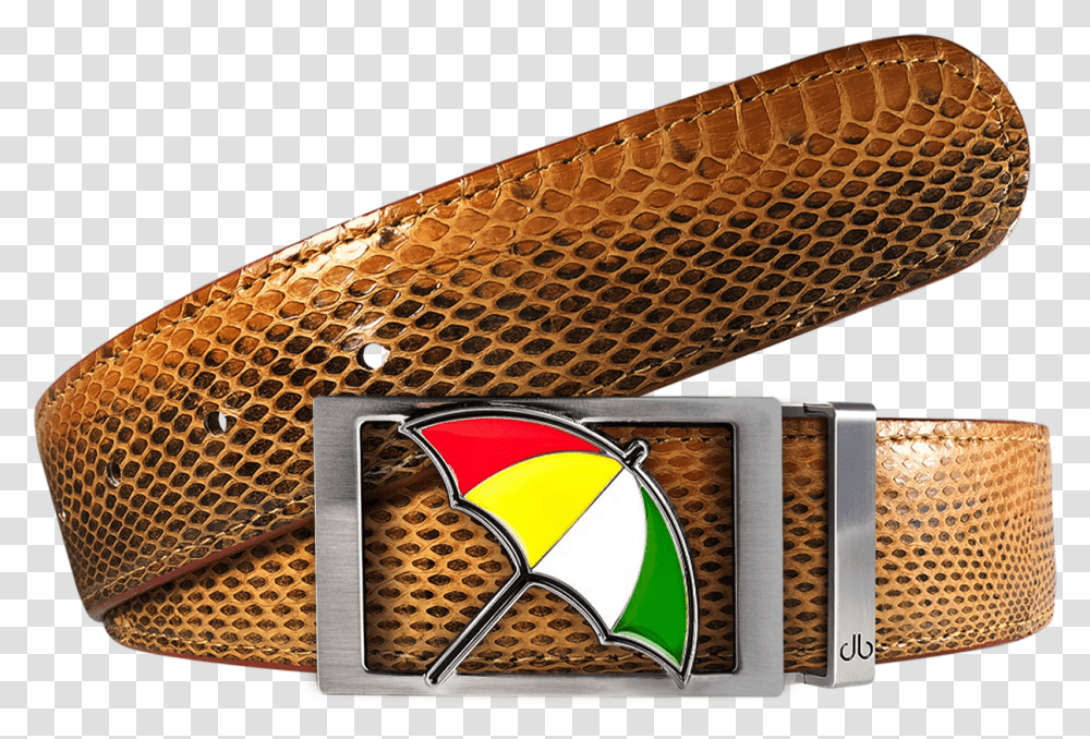 Buckle, Logo, Honey Bee, Insect Transparent Png