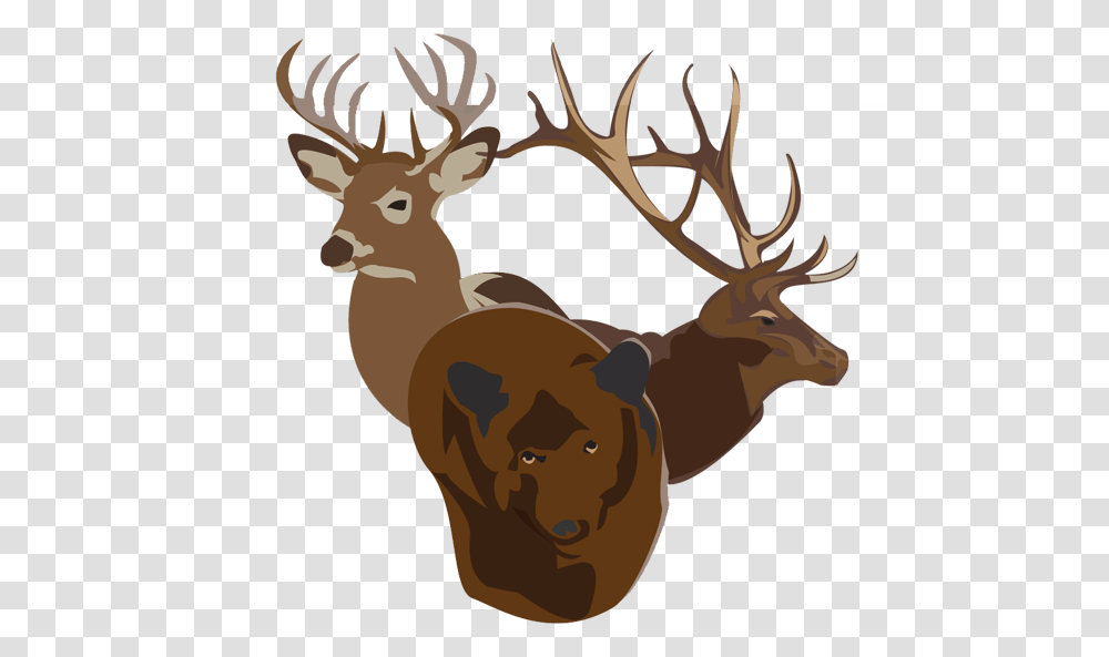 Bucks Bulls Bears Bi Weekly Newsletter, Elk, Deer, Wildlife, Mammal Transparent Png