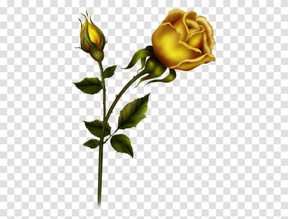 Bud Clipart Yellow Rose Black Rose Gif, Flower, Plant, Blossom, Leaf Transparent Png