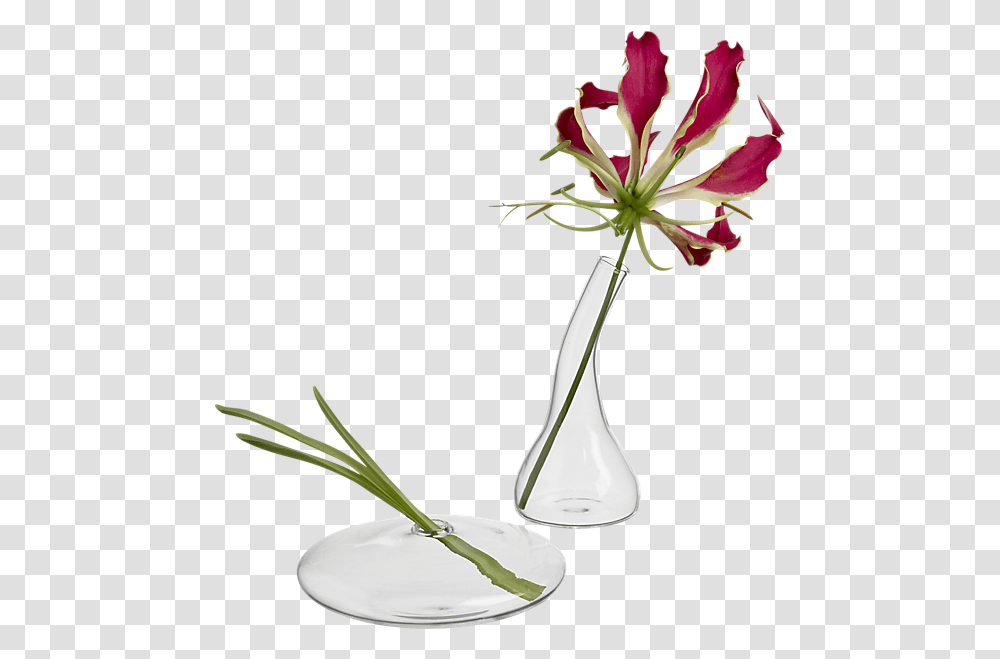 Bud Vases, Plant, Jar, Pottery, Flower Transparent Png