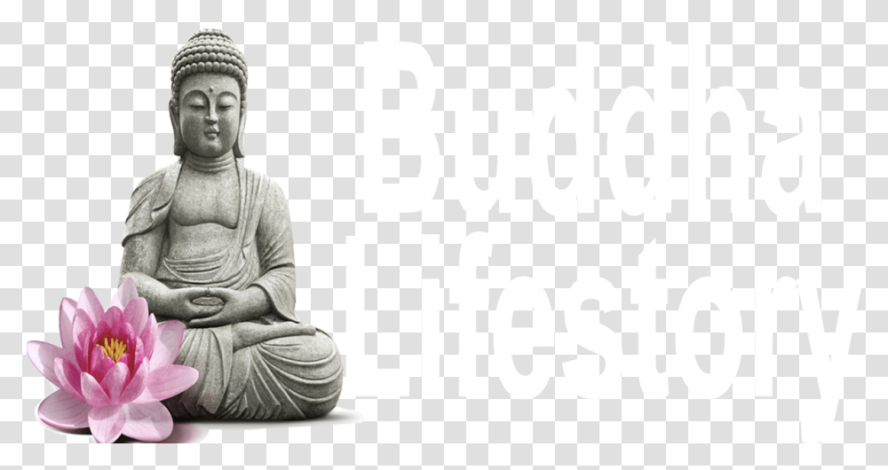 Buddhalifestory, Worship, Person, Human Transparent Png