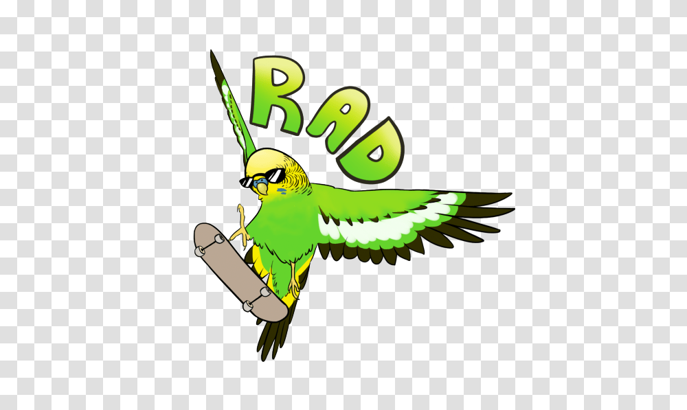Budgerigar Parrot Bird Parakeet Clip Art, Animal, Bird Feeder, Finch, Outdoors Transparent Png