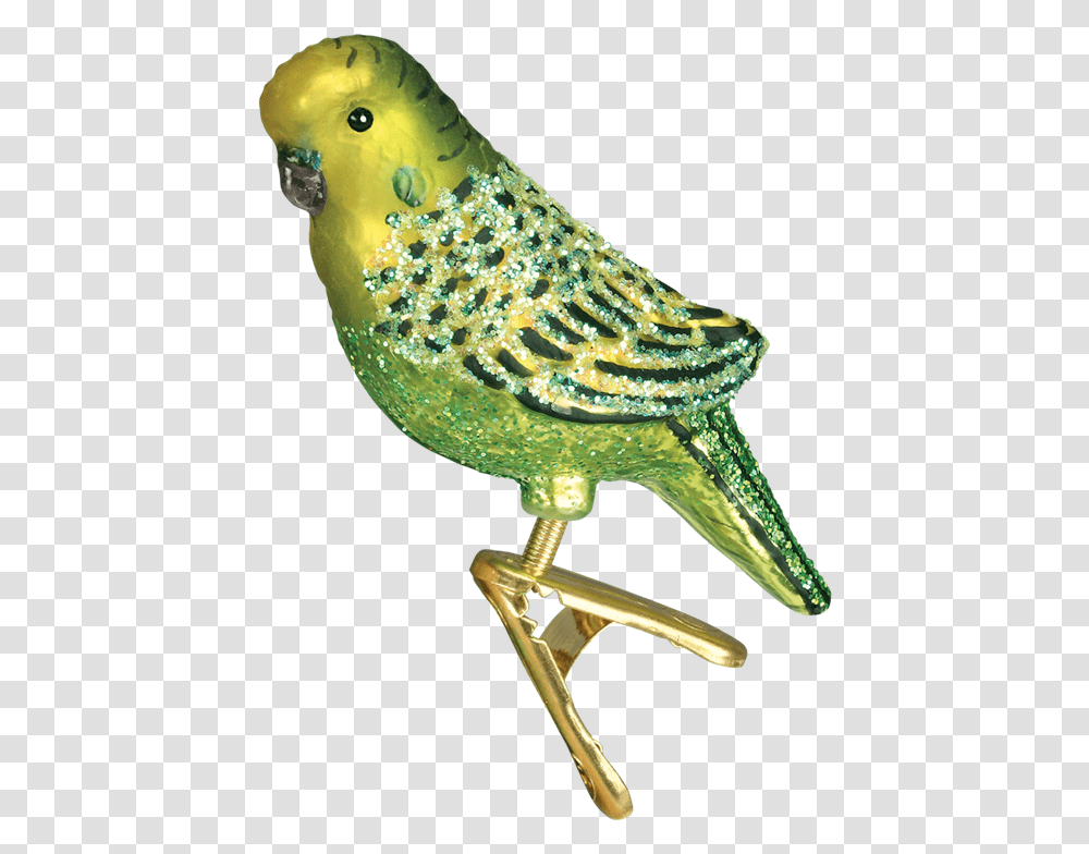 Budgie Christmas Ornament, Animal, Bird, Beak, Hummingbird Transparent Png