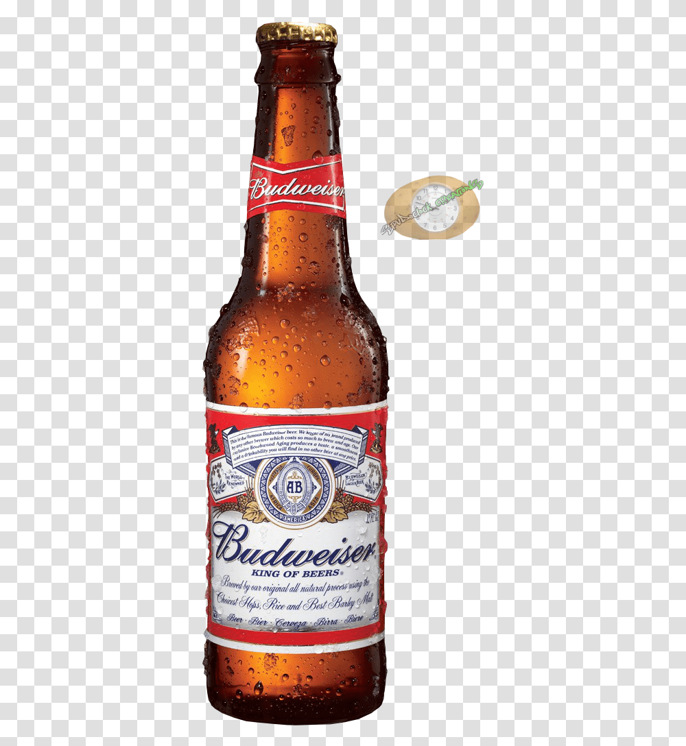 Budweiser Beer Bottle Budweiser Beer, Alcohol, Beverage, Drink, Lager Transparent Png