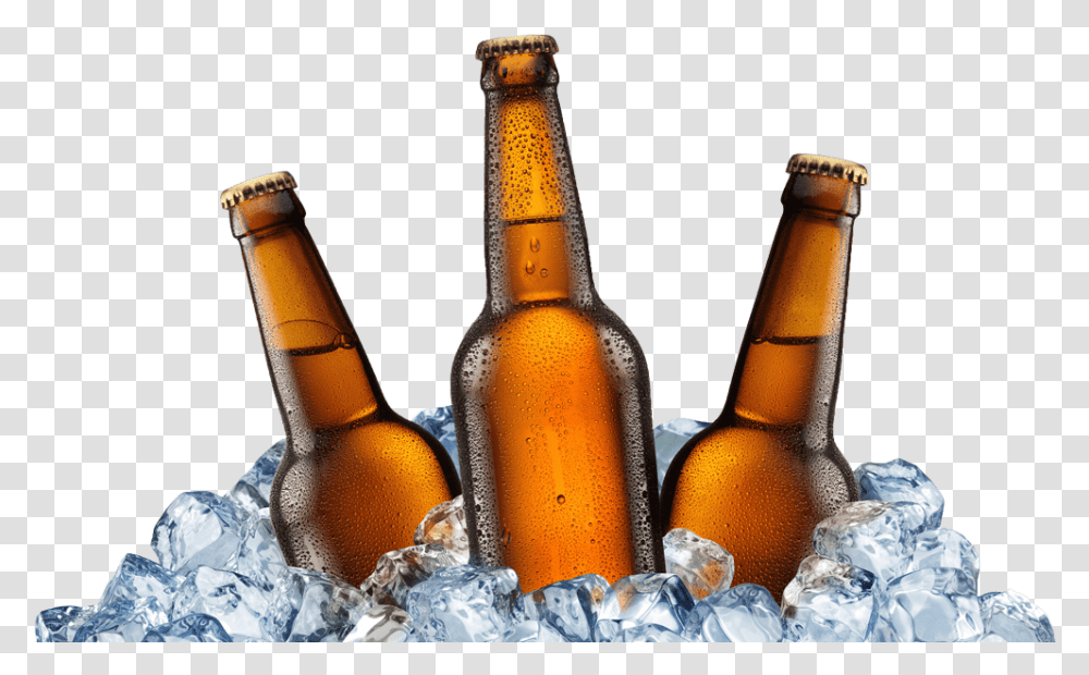Budweiser Beer Drink Ice Iced Free Photo Clipart Beer Bottle Background, Alcohol, Beverage, Glass, Lager Transparent Png