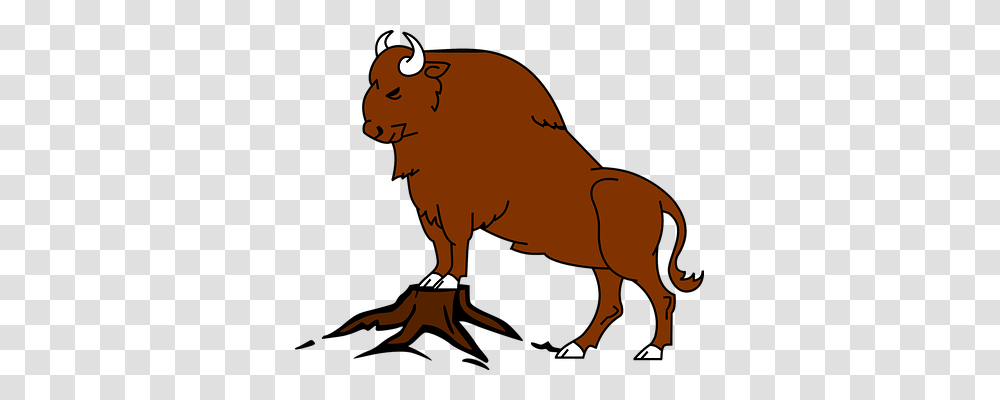 Buffalo Animals, Wildlife, Mammal, Bison Transparent Png