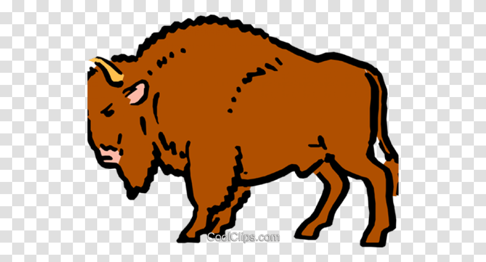 Buffalo Clipart Buffalo Clipart, Mammal, Animal, Bison, Wildlife Transparent Png