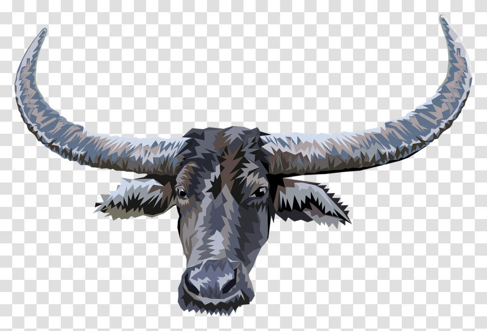 Buffalo Head, Bird, Animal, Flying, Architecture Transparent Png