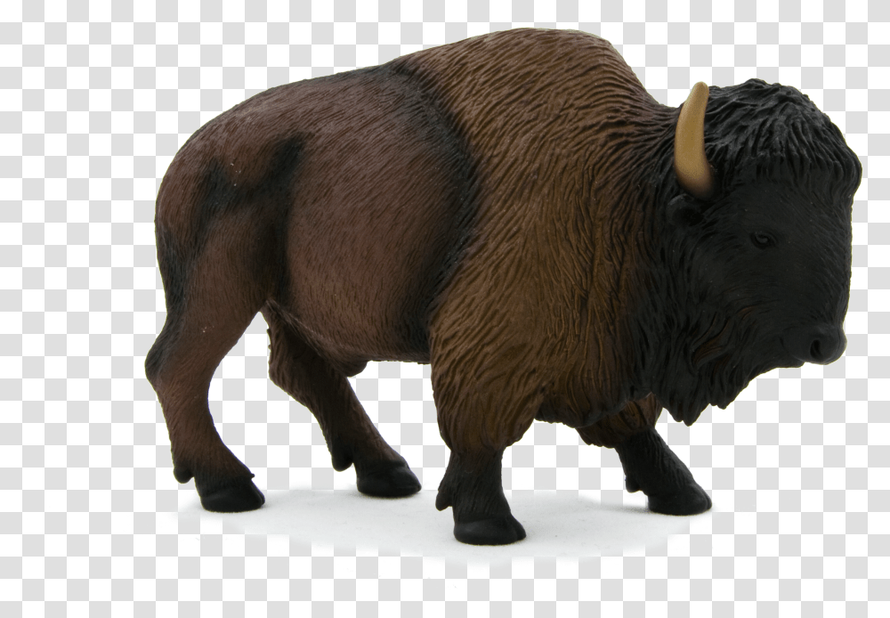 Buffalo Images Transparent Png