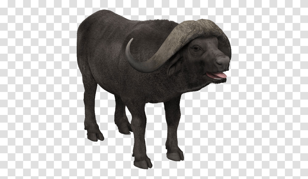 Buffalo Images Working Animal, Wildlife, Mammal, Bull, Elephant Transparent Png