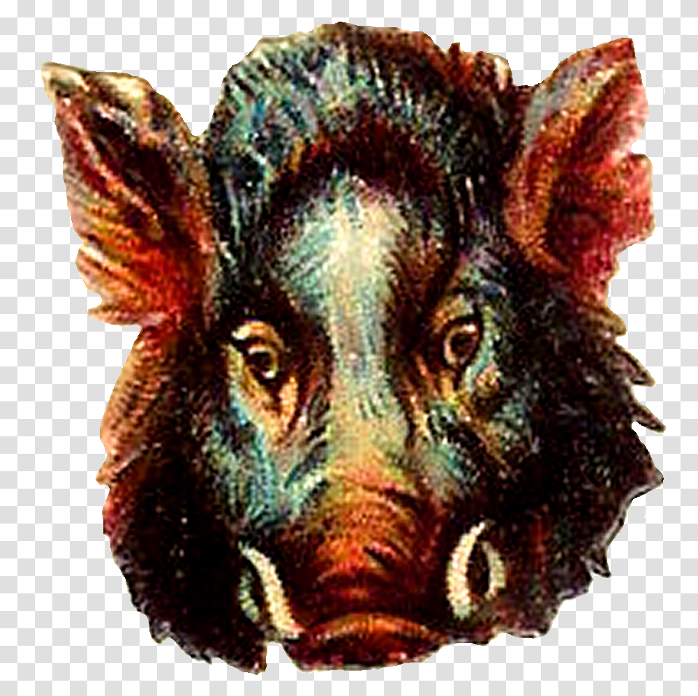 Buffalo Portable Network Graphics, Pig, Mammal, Animal, Hog Transparent Png