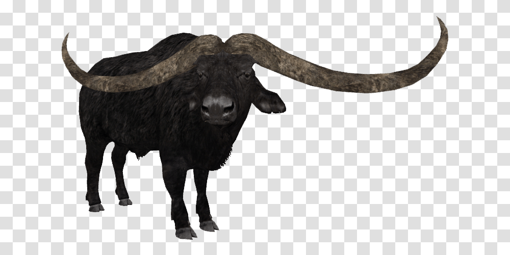 Buffalo Tycoon Zoo Bison, Cow, Cattle, Mammal, Animal Transparent Png