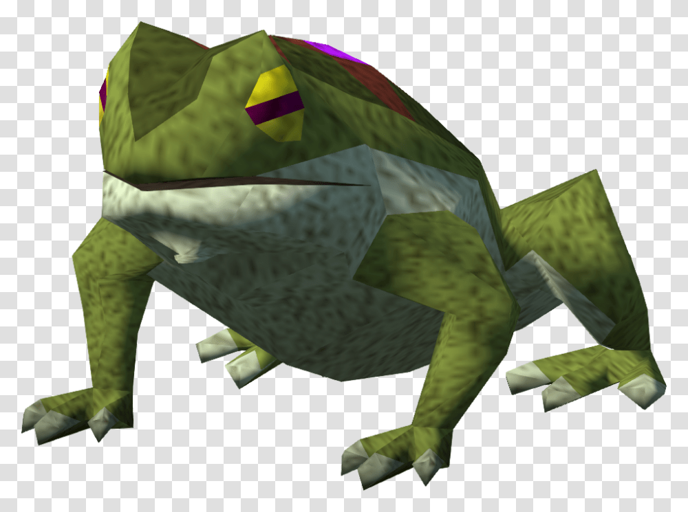 Bufo, Animal, Flag, Water Transparent Png