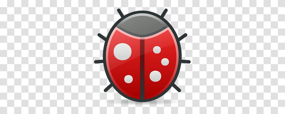 Bug Transparent Png