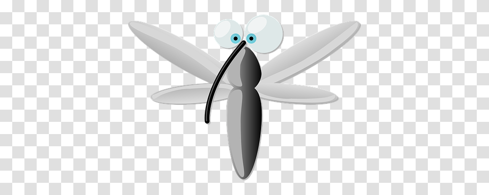 Bug Animals, Insect, Invertebrate, Dragonfly Transparent Png