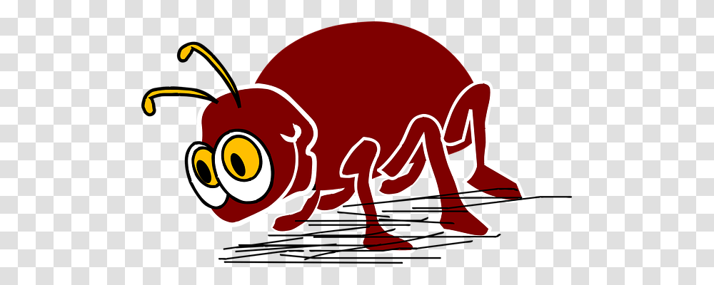 Bug Emotion, Animal, Wildlife, Amphibian Transparent Png