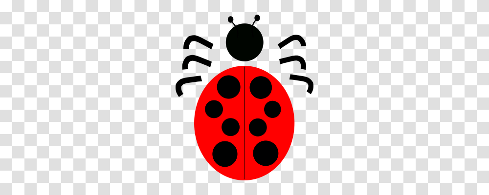 Bug Triangle, Texture Transparent Png