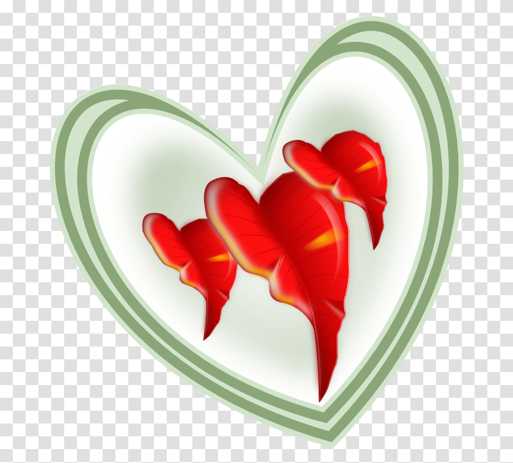 Bug Cgraph Happy Valentine's Day Heart, Petal, Flower, Plant, Blossom Transparent Png