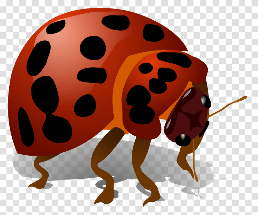 Bug Clip Art, Animal, Wasp, Bee, Insect Transparent Png