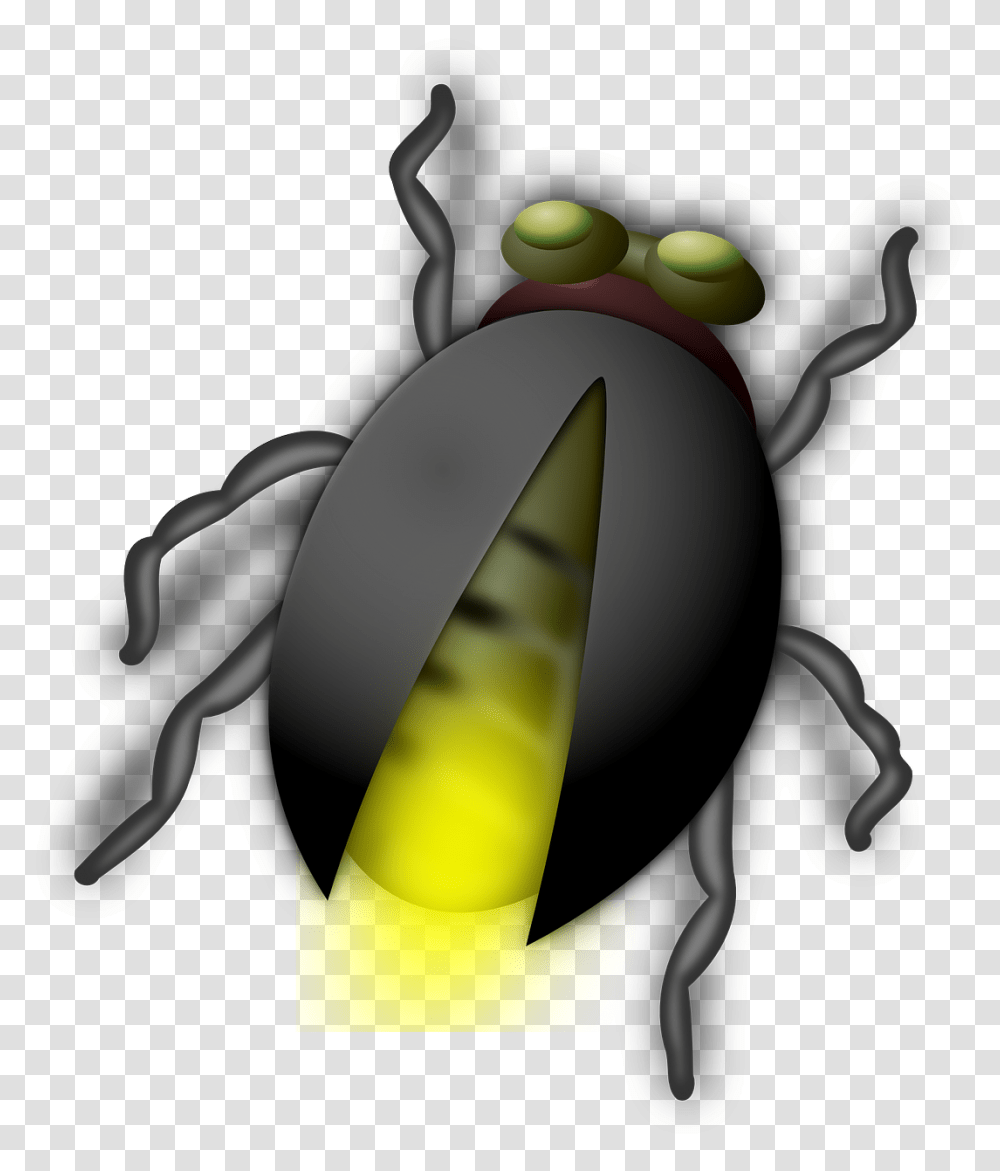 Bug Clip Art, Insect, Invertebrate, Animal, Firefly Transparent Png