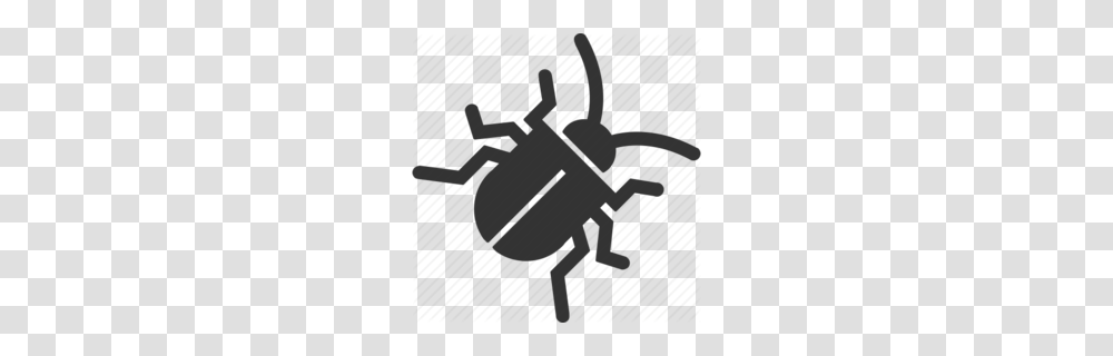 Bug Clipart, Animal, Invertebrate, Insect, Dung Beetle Transparent Png
