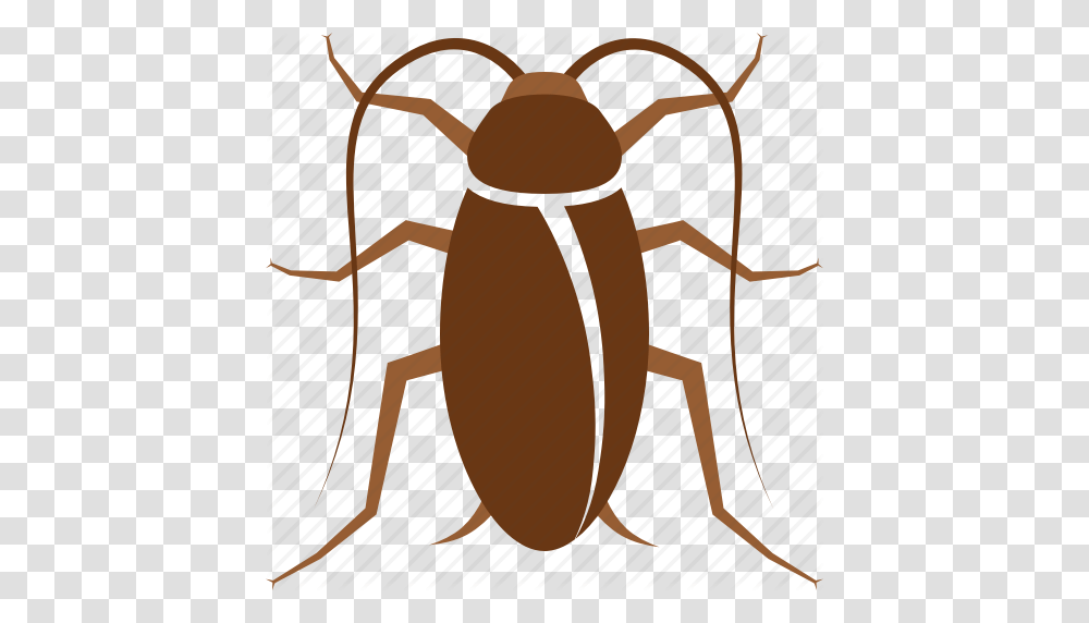 Bug Cock Cockroach Control Household Pest Roach Icon, Insect, Invertebrate, Animal, Lamp Transparent Png