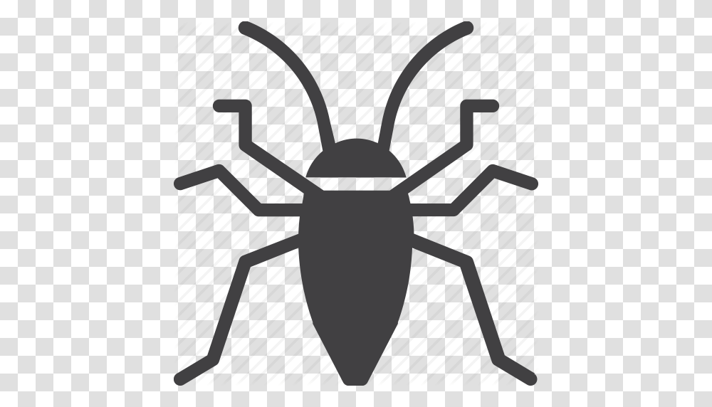 Bug Cockroach Insect Roach Icon, Invertebrate, Animal, Cricket Insect, Spider Transparent Png