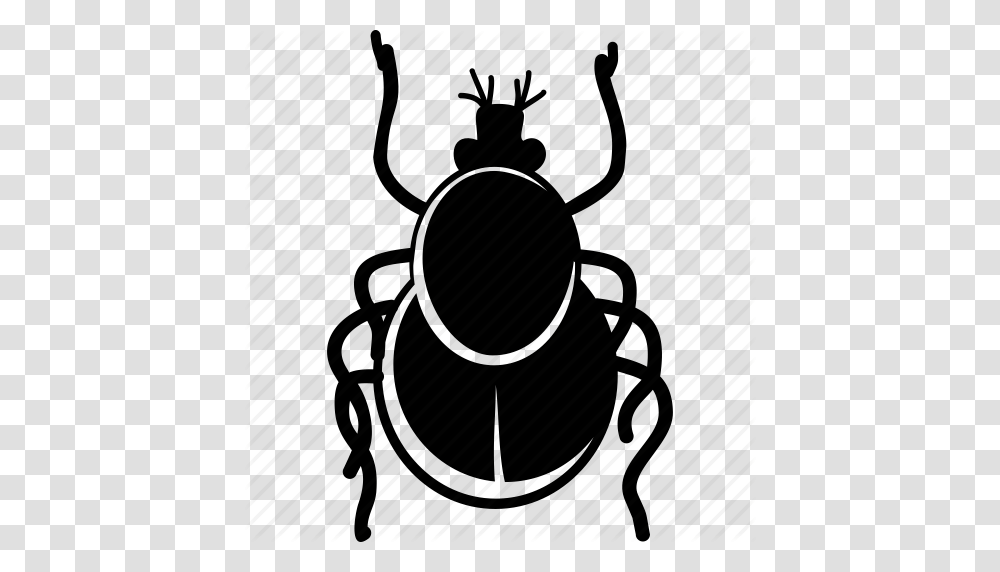Bug Danger Infection Insect Parasite Safety Tick Icon, Piano, Leisure Activities, Musical Instrument, Invertebrate Transparent Png