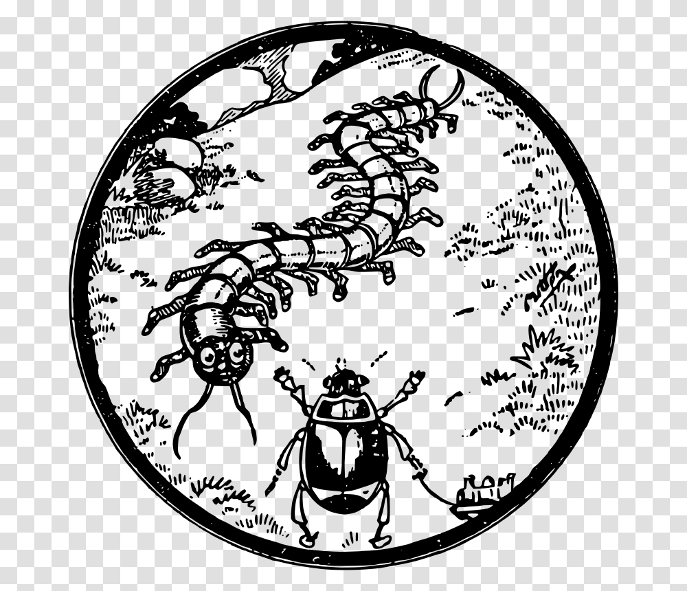 Bug Friends Illustration, Gray, World Of Warcraft Transparent Png