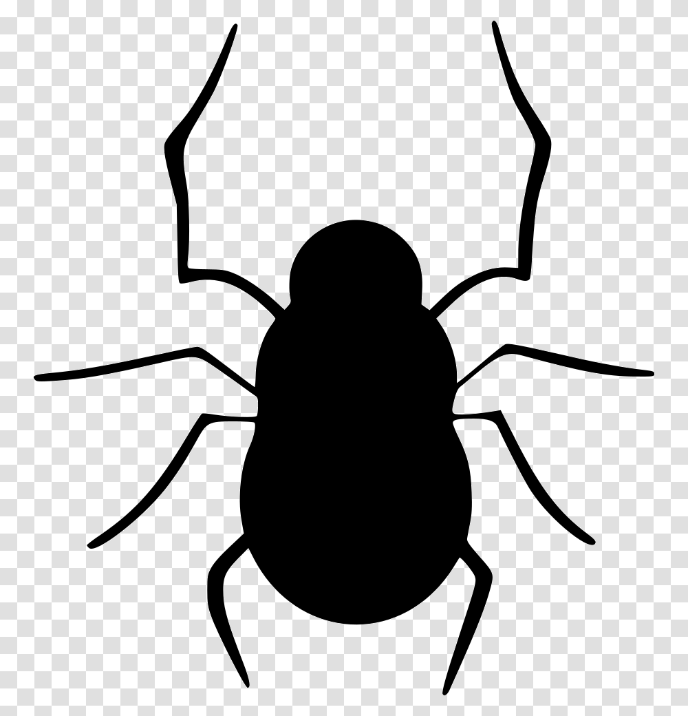 Bug Halloween Insect Spider Spiderweb Web Vector Graphics, Invertebrate, Animal, Stencil, Dung Beetle Transparent Png