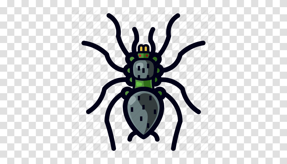 Bug Halloween Insect Spider Tarantula Icon, Invertebrate, Animal, Clock Tower, Building Transparent Png