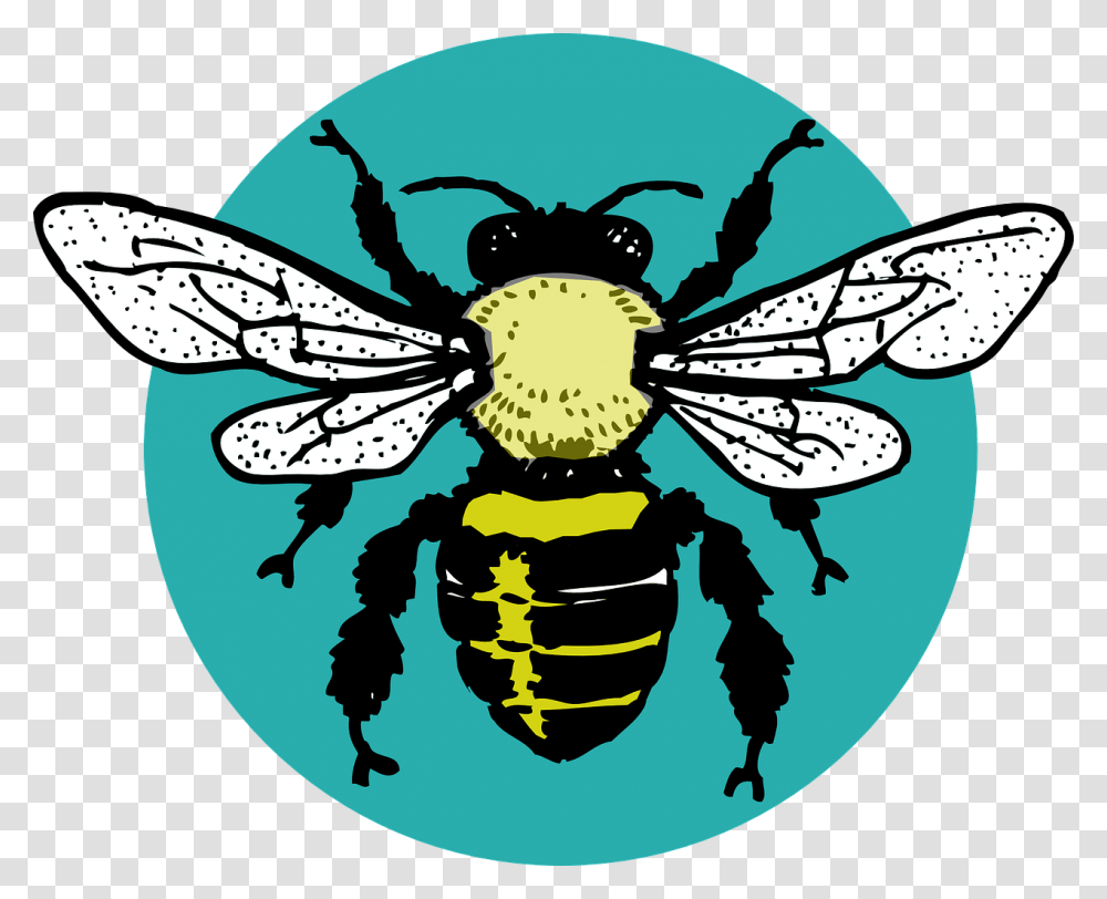 Bug Hornet Bee Insect Wasp Sting Wing Fly Bee Outline, Invertebrate, Animal, Andrena, Honey Bee Transparent Png