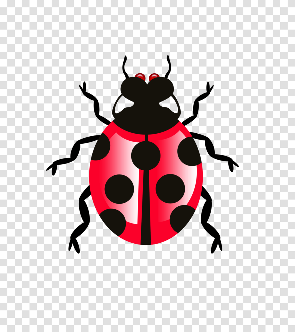 Bug Images Arts, Ball, Snowman, Outdoors, Nature Transparent Png